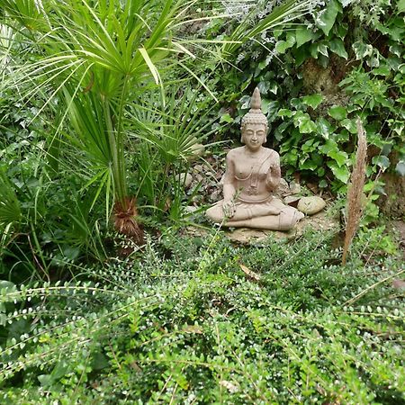 La Palmeraie 伊斯特尔 外观 照片