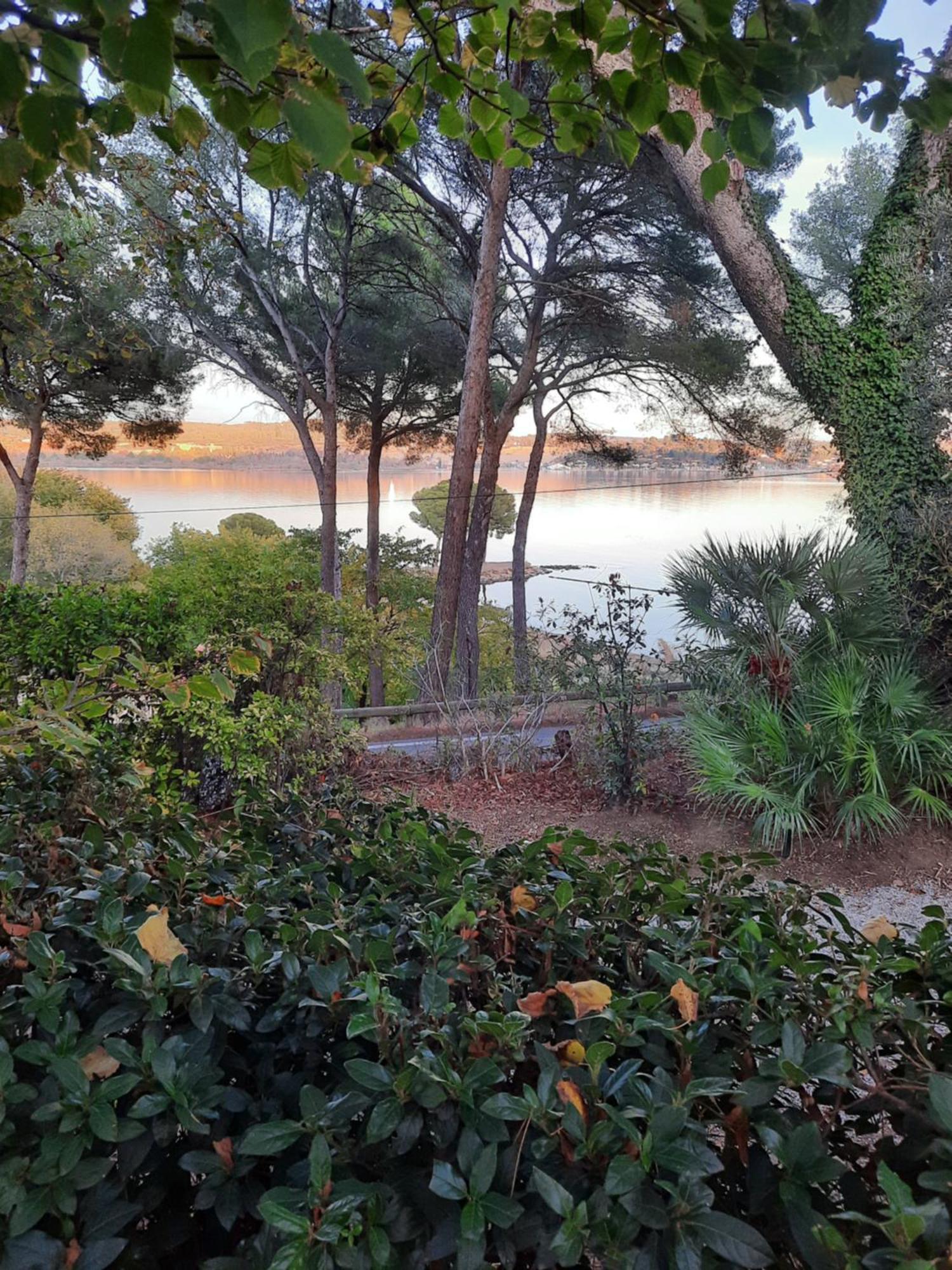 La Palmeraie 伊斯特尔 外观 照片