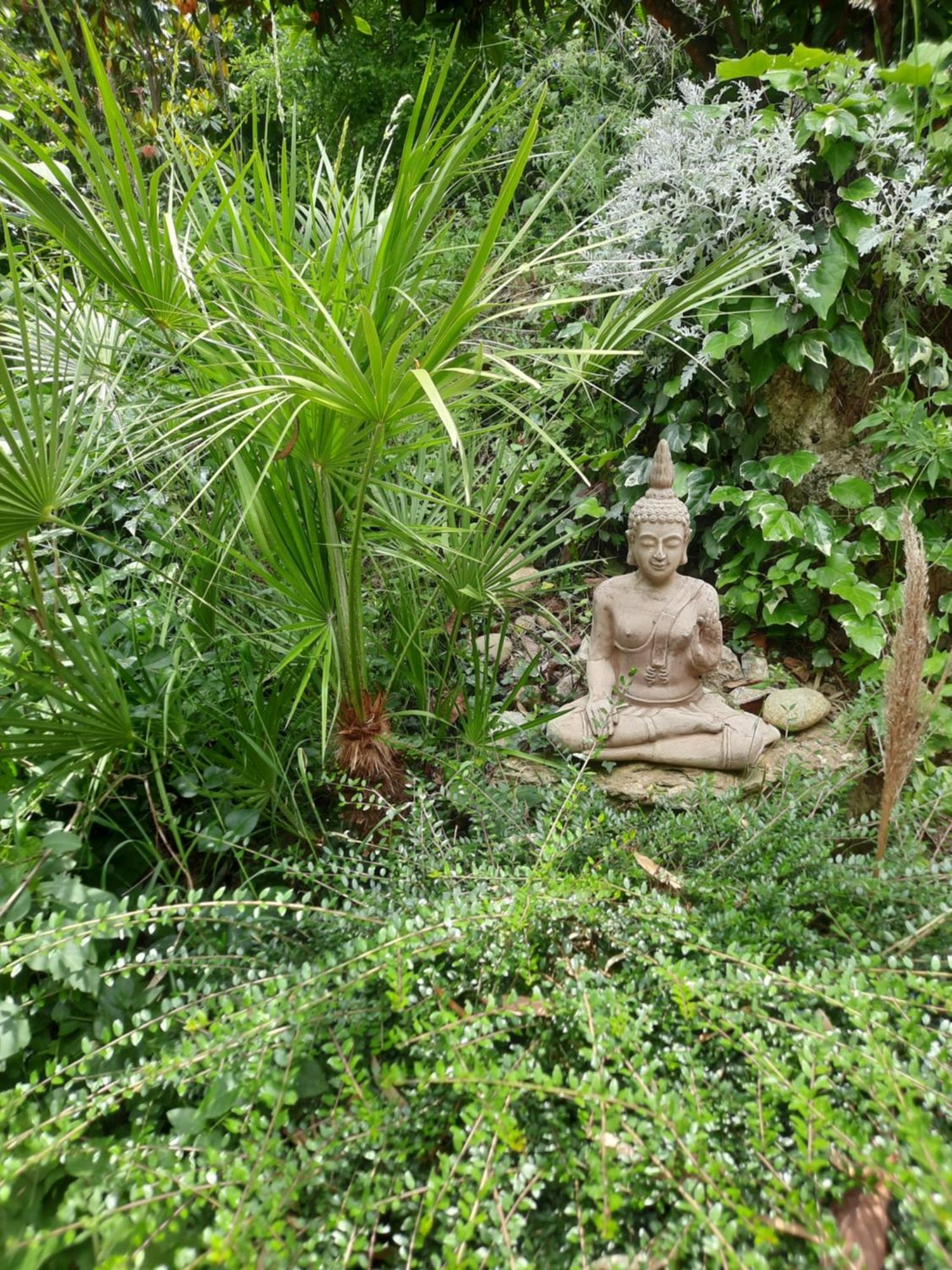 La Palmeraie 伊斯特尔 外观 照片